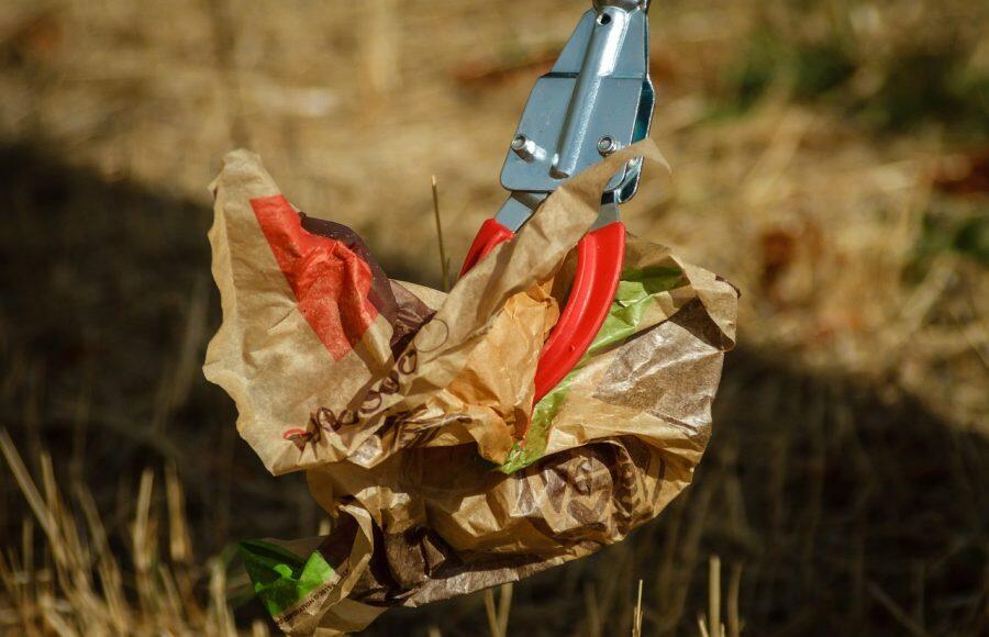 Rhinecleanup Riedstadt