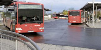 Busse Ingelheim