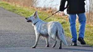 Bücherflohmarkt in der stadtbibliothek groß-gerau