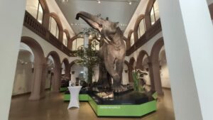 Drei verletzte bei frontalzusammenstoß in gernsheim