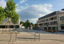 Polizei Ingelheim: Von Pizza-Wut, verletzter Taube und dreistem Ladendieb