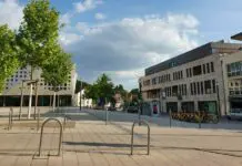 Polizei Ingelheim: Von Pizza-Wut, verletzter Taube und dreistem Ladendieb