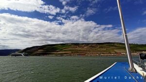 Großzügige spende für den tierpark mainz-kastel 1