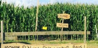 gallery 9 e1617870429438