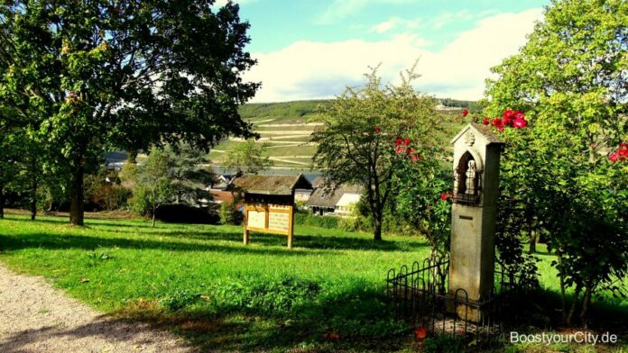 Bingen1 scaled e1602374777329