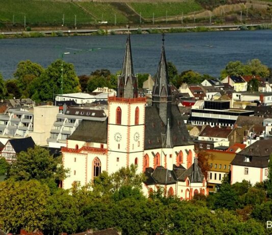 Nachrichten Bingen Bäume