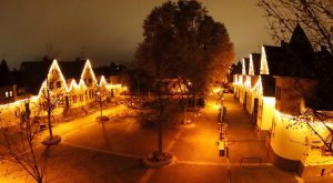 Verkehrsunfall auf der a67 - polizeihund spürt unfallverursacher auf