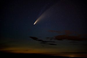 Kunde im supermarkt brutal mit messer niedergestochen