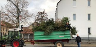 SPD Wackernheim Weihnachtsbaeume e1610028164220