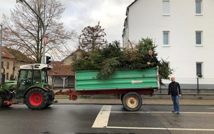 SPD Wackernheim Weihnachtsbaeume e1610028164220
