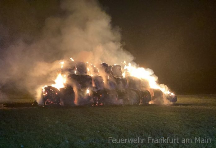 fw f heuballen brennen auf den schwanheimer wiesen fw f heuballen brennen auf den schwanheimer wiesen
