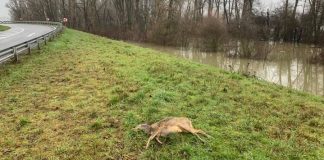 146981664 3900673839985506 9010719319051209047 n e1612734753353