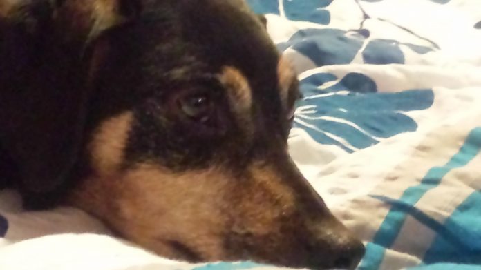 20161224 173038 scaled e1612175214737