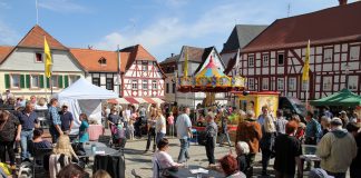 Stadt Opp Oppenheimer Fruehling 16 e1612264963631