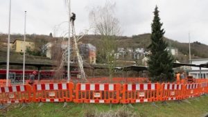 Topthema 20210219 rodungsarbeiten 1