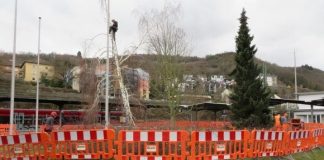 Topthema 20210219 Rodungsarbeiten 1