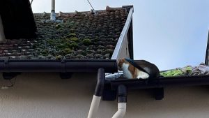 Whatsapp image 2021 02 04 at 18. 53. 04 900x506 1