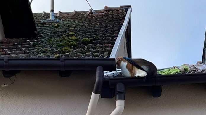 WhatsApp Image 2021 02 04 at 18.53.04 900x506 1 WhatsApp Image 2021 02 04 at 18.53.04 900x506 1