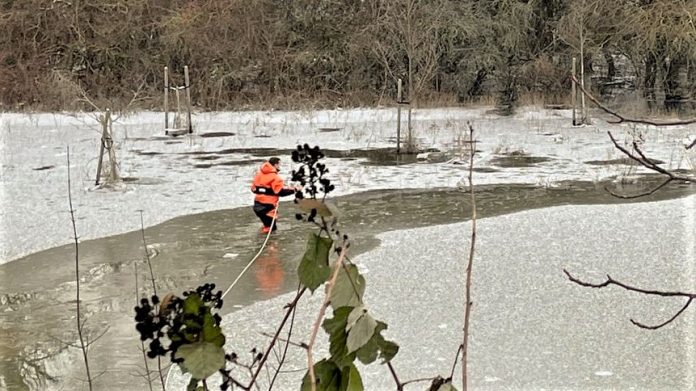 WhatsApp Image 2021 02 09 at 16.03.18