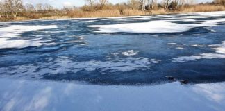 WhatsApp Image 2021 02 11 at 21.41.24 1 e1613076843431