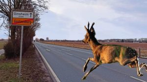 Mehrere autoreifen in der oberstadt in mainz zerstochen