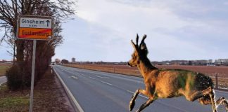 WhatsApp Image 2021 02 15 at 10.12.11 e1613382117726