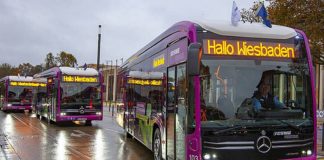 WhatsApp Image 2021 02 19 at 15.57.12 e1613749801170