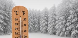 bild1 scaled e1612852731476