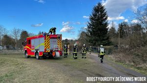Gerd schreiner: christian baldauf überzeugt in elefantenrunde