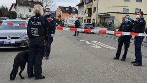 Auch unsere lieben vierbeiner können von demenz betroffen sein