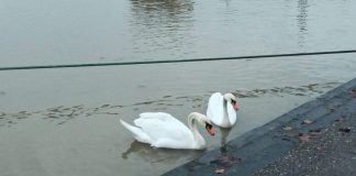 20210202 172535 ecea1ee scaled e1615078906527