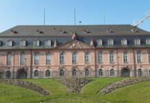 Machtprobe in Mainz: AfD-Kandidaten fallen bei Ausschusswahlen durch – Chefposten bleiben vakant Mainz AFD
