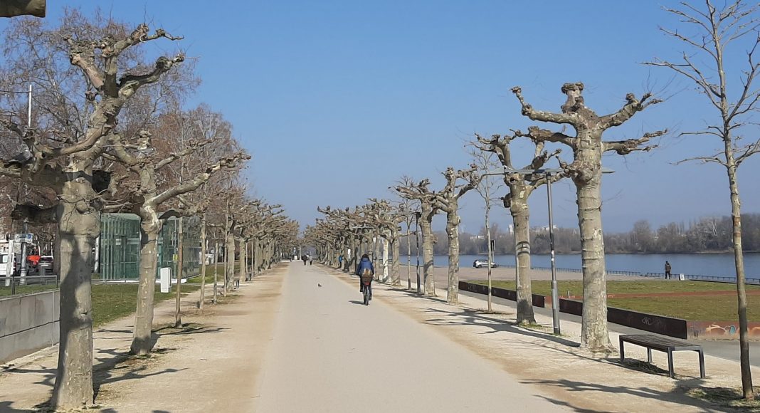 Rheinufer Mainz Rheinufer Mainz