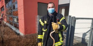 20210324 154220 e1616657685201