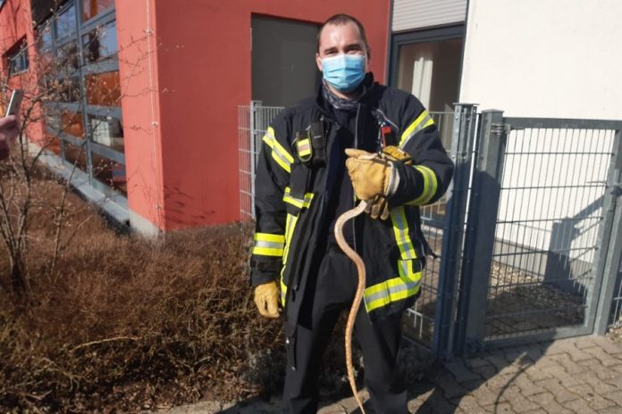 20210324 154220 e1616657685201 20210324 154220 e1616657685201