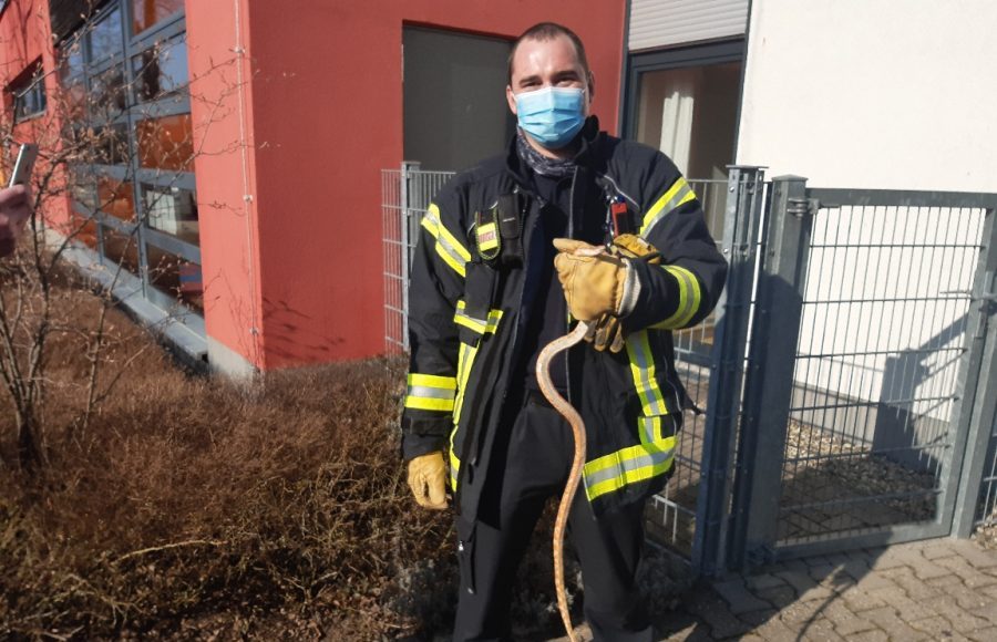 20210324 154220 e1616657685201 20210324 154220 e1616657685201