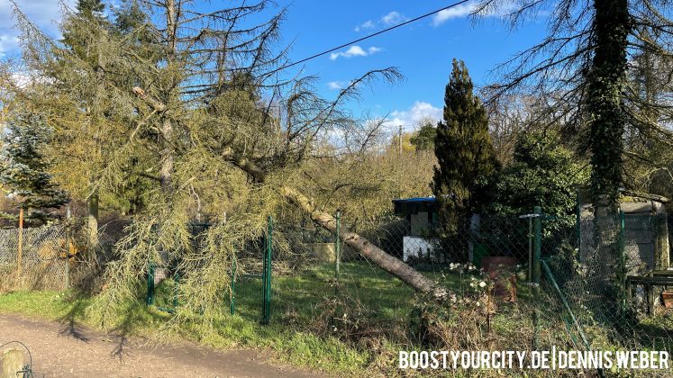 A7014669 62EB 4257 A6C5 6A3F998056D7 scaled e1615562898494