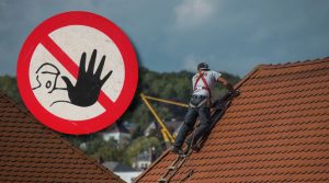 Grüne budenheim bezeichnen aussage des bürgermeisters über haftung für altlasten als unverantwortlich 1