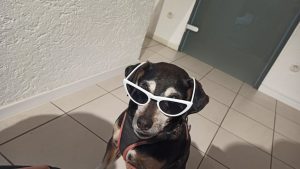 Malu dreyer bleibt voraussichtlich ministerpräsidentin in rheinland-pfalz