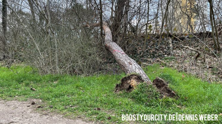 E0C374A4 E5F4 47F4 B9B8 D4890D0FFB8D scaled e1615563084890