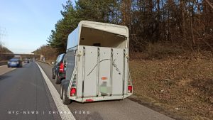 Pferd auf der autobahn a643 bei mainz-gonsenheim Img 20210321 163518