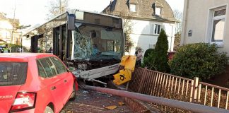 IMG 20210331 175436 e1617208839417