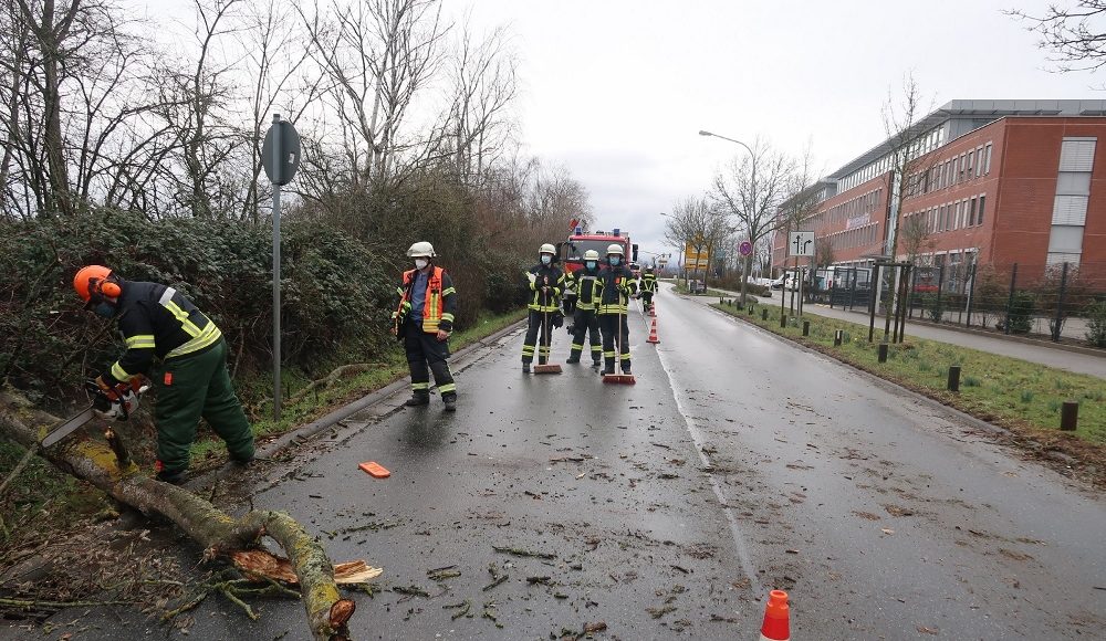 IMG 2889 1000x667 1 e1615640772208 IMG 2889 1000x667 1 e1615640772208