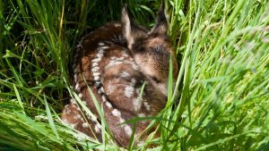 Investitionen in die zukunft und ausbildung