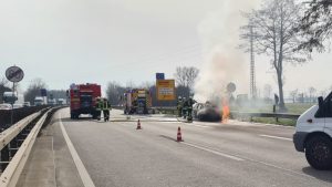 Whatsapp image 2021 03 03 at 14. 35. 51