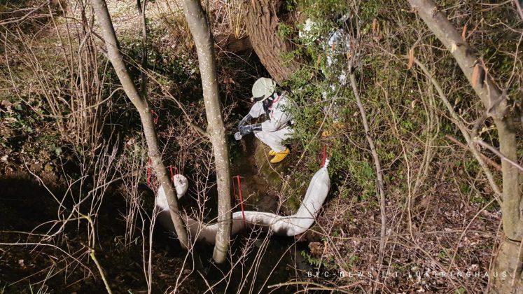 Whatsapp image 2021 03 23 at 19. 38. 25 e1616524913182