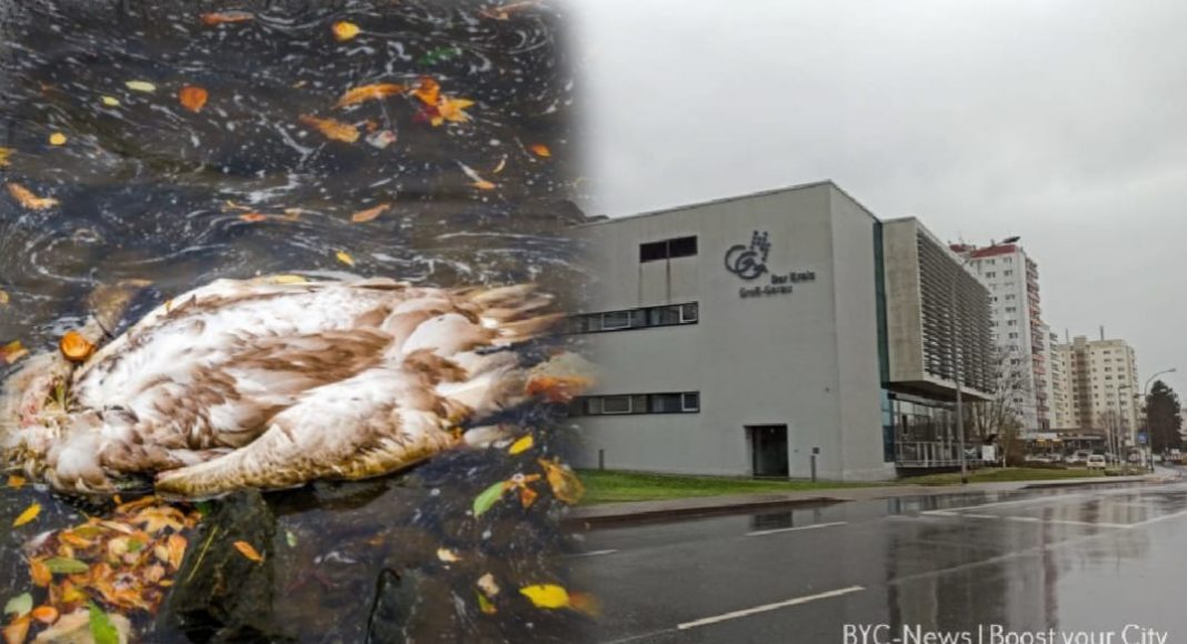 WhatsApp Image 2021 03 24 at 20.31.05