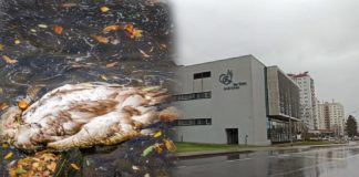 WhatsApp Image 2021 03 24 at 20.31.05