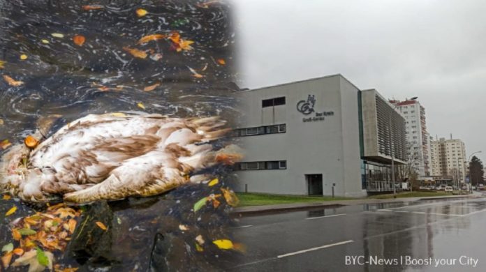 WhatsApp Image 2021 03 24 at 20.31.05 WhatsApp Image 2021 03 24 at 20.31.05