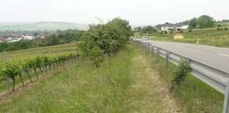 csm L 426 Radweg Elsheim Essenheim MZ Lerchenberg LBM Worms Mai 2018 0711ce0bbe